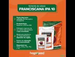 Sementes de Cebola IPA-10 Roxa