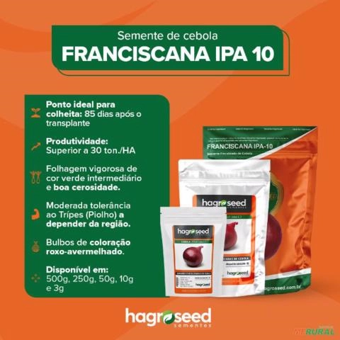 Sementes de Cebola IPA-10 Roxa Imagem Sementes de Cebola IPA-10 Roxa