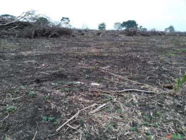 Fazenda a venda em Bodoquena /MS