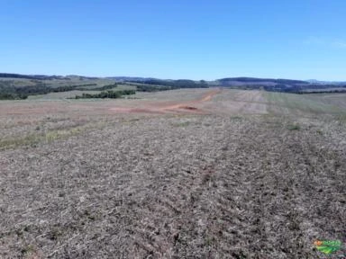 FAZENDA A 75 KM DE LONDRINA - PARANÁ