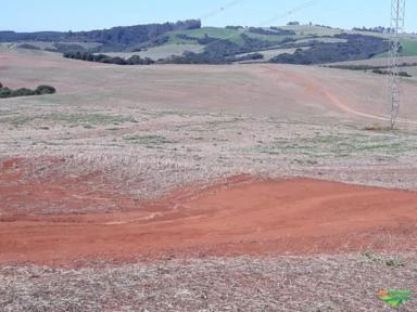 FAZENDA A 75 KM DE LONDRINA - PARANÁ