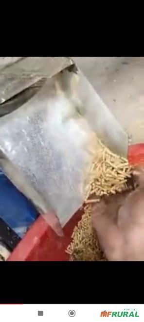 Imagem Peletizadora faz 150 kg ração hora Imagem Peletizadora faz 150 kg ração hora