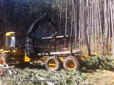 FOREST SERVICES - COLHEITA FLORESTAL MECANIZADA E MANUAL