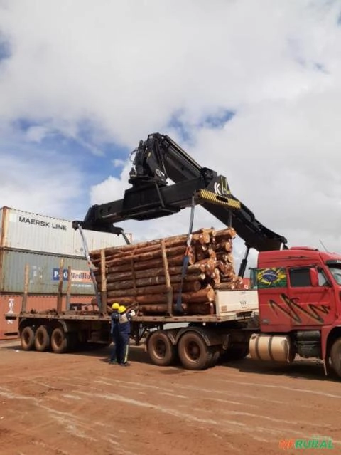 Madeira de Teca Imagem Madeira de Teca