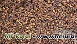 Venda de Cravo da Índia Imagem Venda de Cravo da Índia