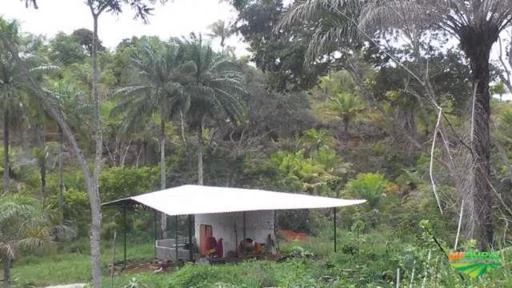 Fazendinha Agroecológica 100ha, Cacau e Açai, Litoral Bahia, RPPN, Cachoeira