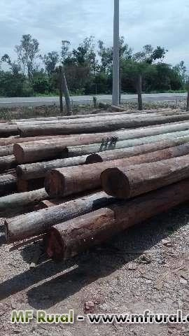 POSTES DE EUCALIPTO TRATADO USADO Imagem POSTES DE EUCALIPTO TRATADO USADO