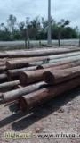 POSTES DE EUCALIPTO TRATADO USADO Imagem POSTES DE EUCALIPTO TRATADO USADO