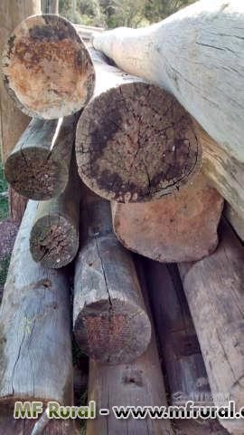 Imagem POSTES DE EUCALIPTO TRATADO USADO Imagem POSTES DE EUCALIPTO TRATADO USADO