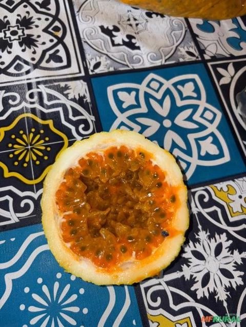 Imagem Maracuja Premium Imagem Maracuja Premium