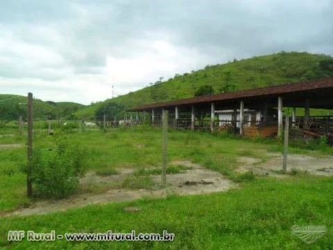 Vendo Fazenda de 10 Alqueires em Casimiro de Abreu RJ próximo a Rodovia