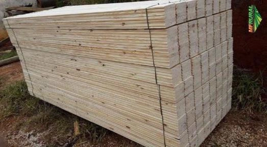 ASSOALHO DE PINUS SECO Imagem ASSOALHO DE PINUS SECO