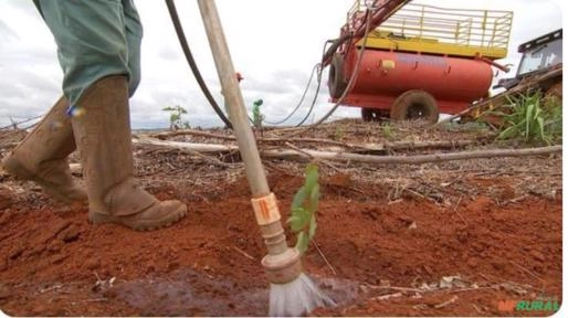 HIDROGEL PARA IRRIGAÇÃO Imagem HIDROGEL PARA IRRIGAÇÃO