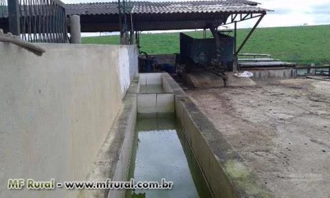 Fazendaço com 43 Alq. Plano - 240 VACAS ATUALMENTE TIRANDO 1.700 LT. DE LEITE