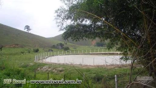 SF 67 - Fazenda em Rio Bonito (Exclusividade)