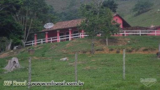 SF 67 - Fazenda em Rio Bonito (Exclusividade)