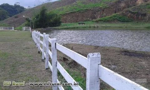 Fazendinha em Japuíba / Papucaia