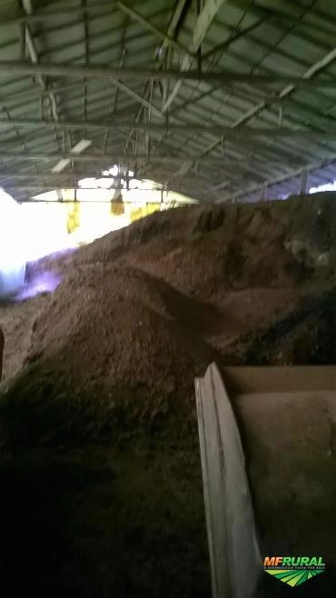 VENDO CAMA DE AVIARIO CURTIDA Imagem VENDO CAMA DE AVIARIO CURTIDA