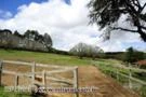 HARAS A VENDA TOTALMENTE FORMADO 16 HECTÁRES EM PIEDADE - SÃO PAULO 120 KM DE SP