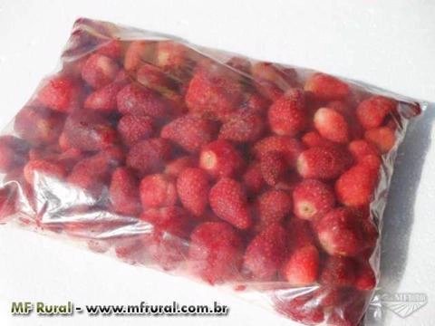 Venda de Morangos (congelados) em Atibaia Imagem Venda de Morangos (congelados) em Atibaia