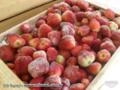 Venda de Morangos (congelados) em Atibaia Imagem Venda de Morangos (congelados) em Atibaia
