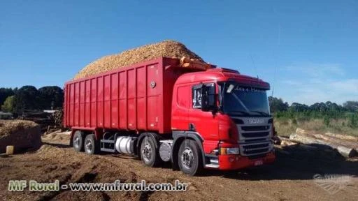 Entrega de (biomassa) Cavaco de Pinus para Caldeiras