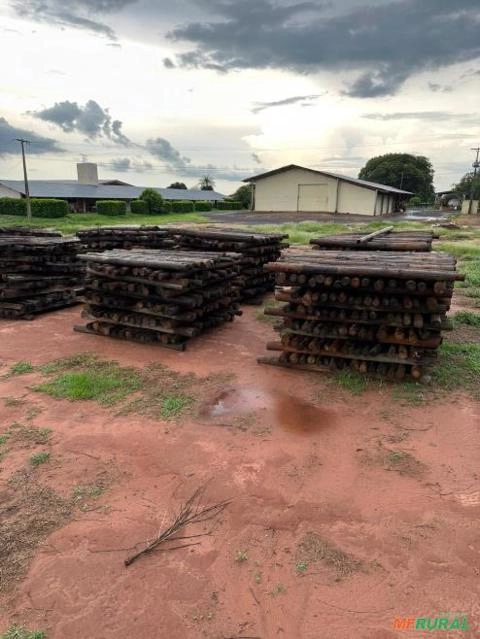 Postes de Pinus usados Imagem Postes de Pinus usados