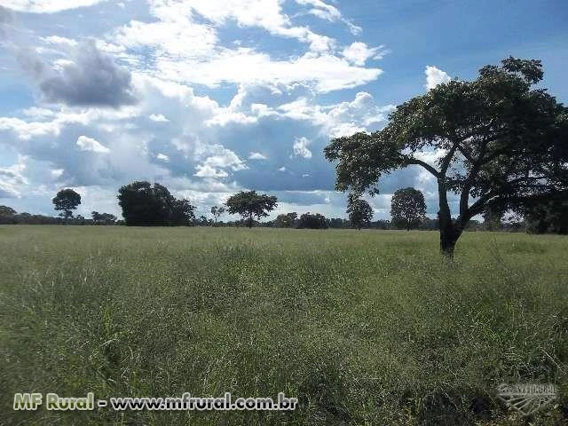 FAZENDA A VENDA NO MUNICÍPIO DE COCALINHO MATO GROSSO