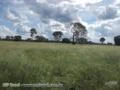 FAZENDA A VENDA NO MUNICÍPIO DE COCALINHO MATO GROSSO