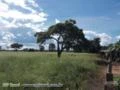 FAZENDA A VENDA NO MUNICÍPIO DE COCALINHO MATO GROSSO