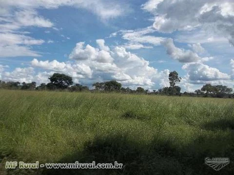 FAZENDA A VENDA NO MUNICÍPIO DE COCALINHO MATO GROSSO