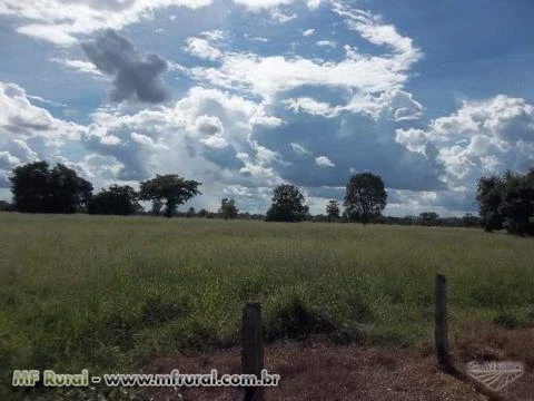 FAZENDA A VENDA NO MUNICÍPIO DE COCALINHO MATO GROSSO