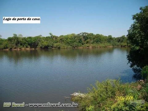 FAZENDA A VENDA NO MUNICÍPIO DE COCALINHO MATO GROSSO