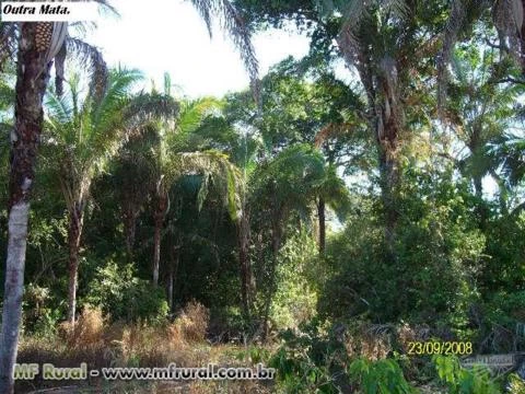 FAZENDA A VENDA NO MUNICÍPIO DE COCALINHO MATO GROSSO