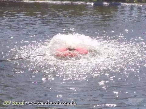 Aerador para Piscicultura Imagem Aerador para Piscicultura