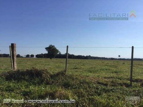 Fazenda de 650 hectares em Viamão