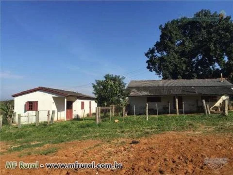 Fazenda de 650 hectares em Viamão