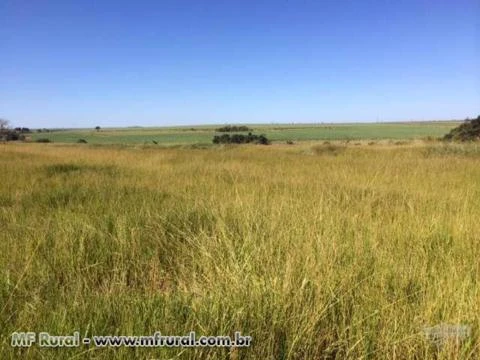 Fazenda 1.500 Ha em Itumbiara-GO