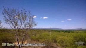 VENDA DE FAZENDA SEM DIVIDAS EM ESPINOSA MG