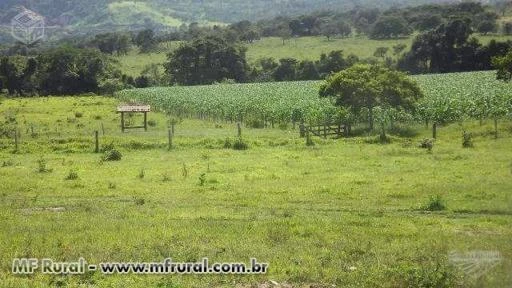 FAZENDA EM ITAPACI GO