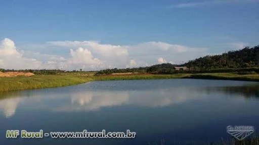 Grande terra de 600 hectares