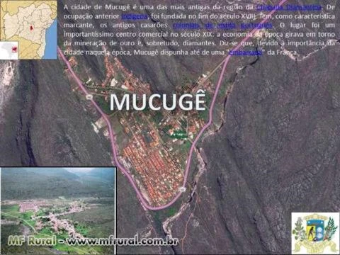 Sitio em Mucugê - 10 ha