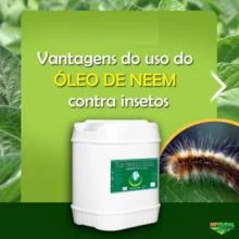 ÓLEO DE NEEM PURO 2000PPM COM FRETE GRÁTIS E PRAZO PAGAMENTO