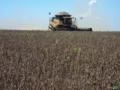 Terceirização de Colheita Milho e Soja Imagem Terceirização de Colheita Milho e Soja