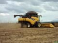 Terceirização de Colheita Milho e Soja Imagem Terceirização de Colheita Milho e Soja