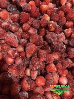 Imagem Frutas Congeladas Imagem Frutas Congeladas