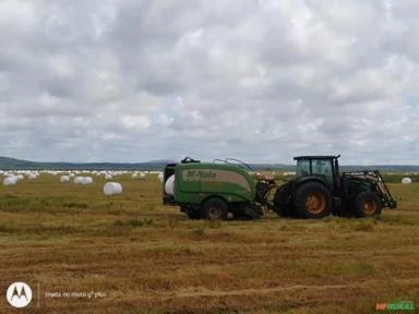 Mão de obra de Corte e Transporte de Silagem Feno e Pre secado