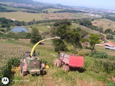 Mão de obra de Corte e Transporte de Silagem Feno e Pre secado