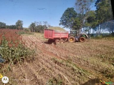 Mão de obra de Corte e Transporte de Silagem Feno e Pre secado