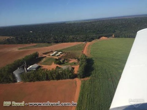 FAZENDA DE AGRICULTURA EM ITANHANGÁ - MT